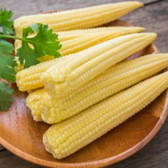 Pickled-baby-corn